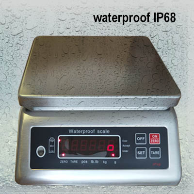 waterproof weighing scale