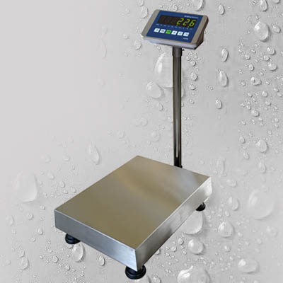stainless steel structure bench scale