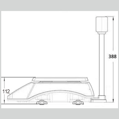 price computing scale with pole display