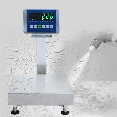 Stainless steel bench scale