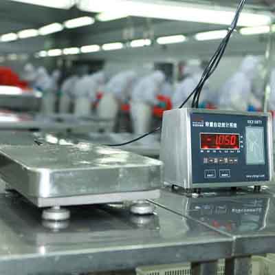 Weighing system for food processing