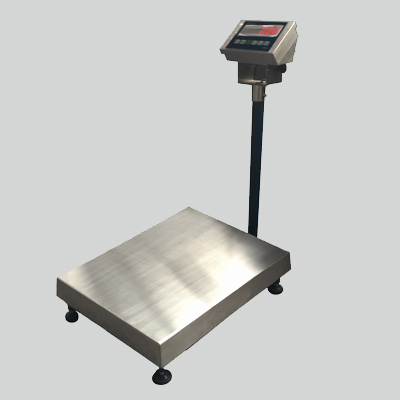 stainless steel scale